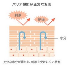 高保湿クリーム ロベクチン販売サイトへ